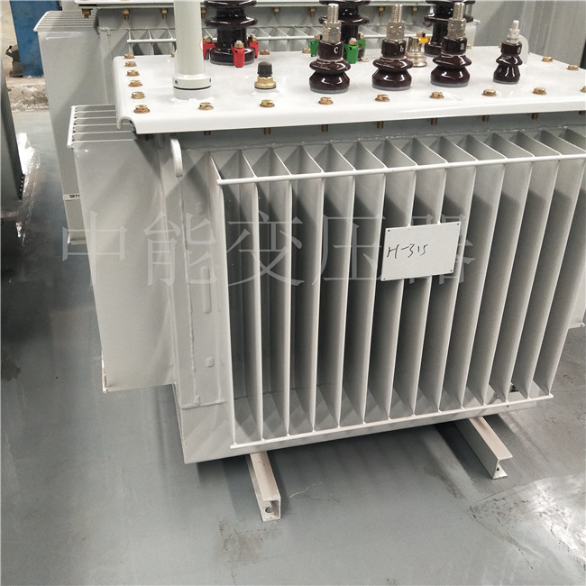 仪陇S20-500KVA油浸式变压器